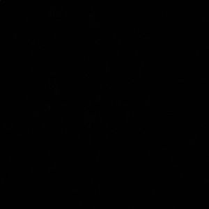 Meet your Posher, Chyna